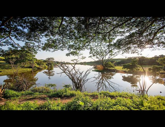 2HA VACANT LAND FOR SALE IN FAIRVIEW ESTATES